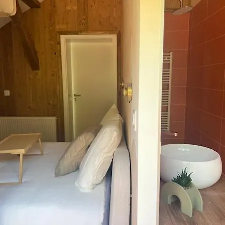 Apartman La Cle Des Champs - « Le Loft » - Jacuzzi Prive *