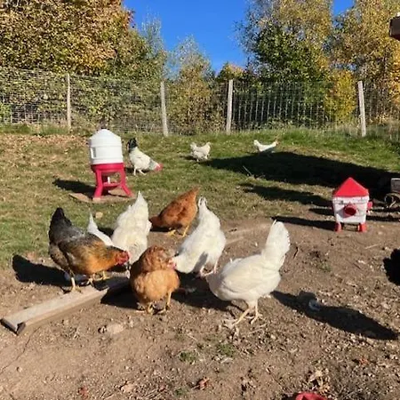 La Cle Des Champs - Le Loft - Jacuzzi Privee Apartment *