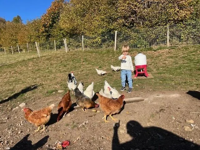 La Cle Des Champs - Le Loft - Jacuzzi Privee * La Bresse