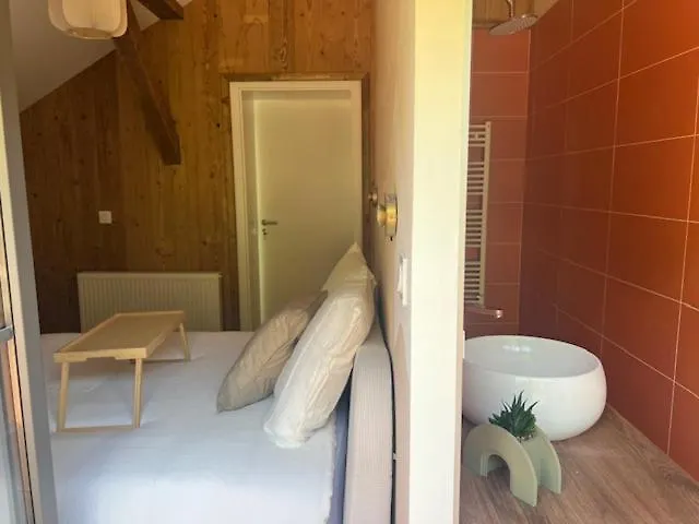 Apartment La Cle Des Champs - Le Loft - Jacuzzi Privee *