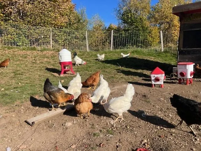 La Cle Des Champs - Le Loft - Jacuzzi Privee Apartment *